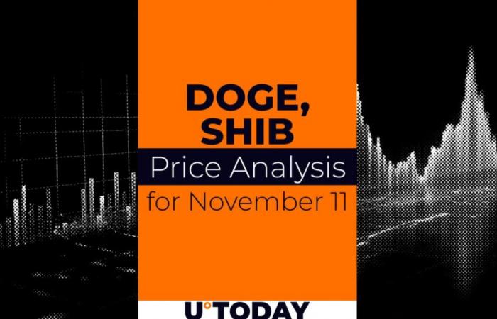 Previsione dei prezzi DOGE e SHIB per l’11 novembre