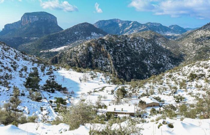 Maiorca si trova di fronte a una rara allerta neve mentre le Isole Canarie sono colpite da un'ondata di caldo di 35°C a novembre | Mondo | Notizia