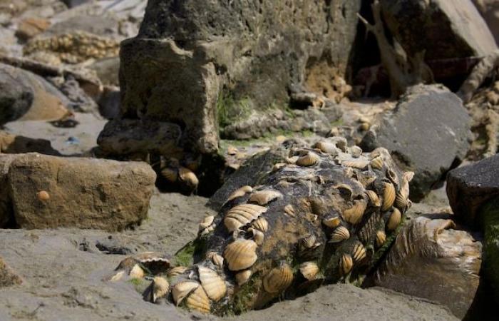 Quando l’oceano inghiotte le coste del Senegal