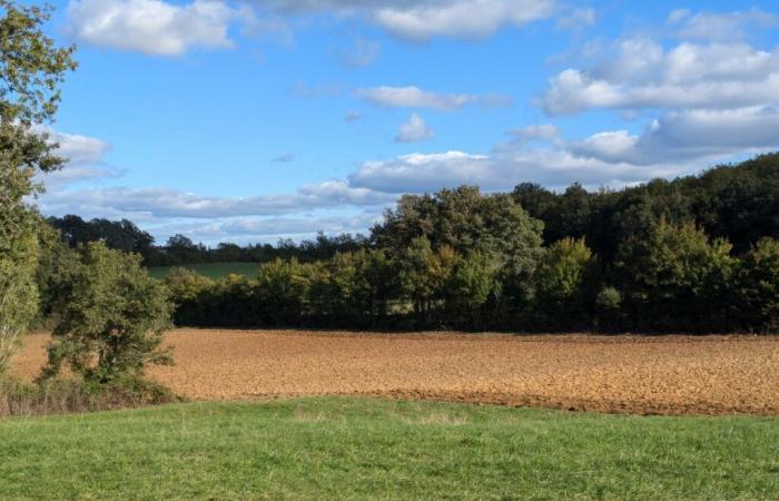 Crisi agricola. Una ventina di contadini svuotano i sacchi davanti a un senatore del Lot