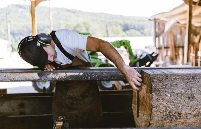 In Dordogna, una segheria associativa per una foresta viva