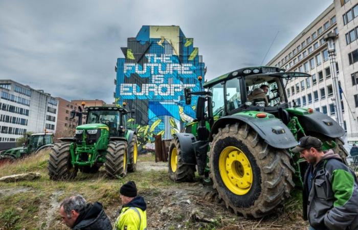 Perché gli agricoltori torneranno nelle strade della capitale questo mercoledì?