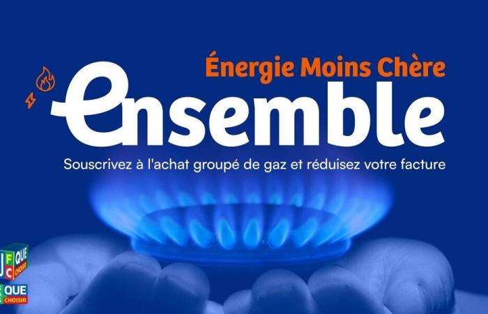 Energia più economica insieme – Un acquisto di gruppo di gas per realizzare risparmi significativi – Azione UFC-Que Choisir