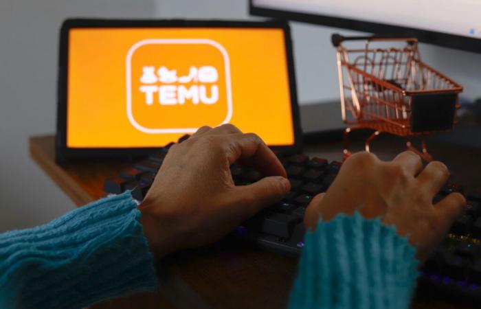 L’UE prende provvedimenti contro il mercato online Temu per potenziali violazioni del diritto dei consumatori