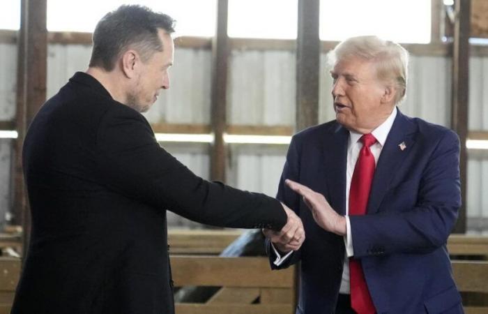 Donald Trump nomina Elon Musk a capo del nuovo ministero dell’“efficienza governativa” – rts.ch