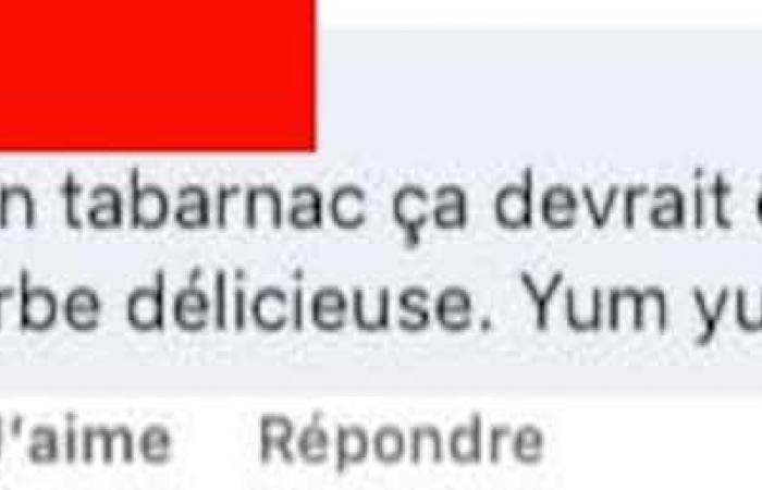 Un genio ha inventato la poutine con zuppa di cipolle gratinata che ha entusiasmato molti quebecchesi