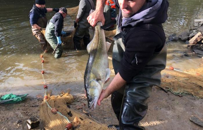 Le forze dell'ordine si stanno preparando a rafforzare il controllo della pesca