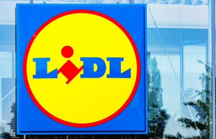 La Lidl è finita? Questo nuovo negozio metterà in ombra il marchio tedesco con i suoi prezzi bassi