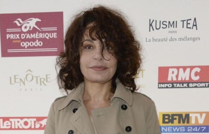 Isabelle Mergault ha prestato la sua voce per doppiare un personaggio di un film che ha riunito milioni di spettatori al cinema