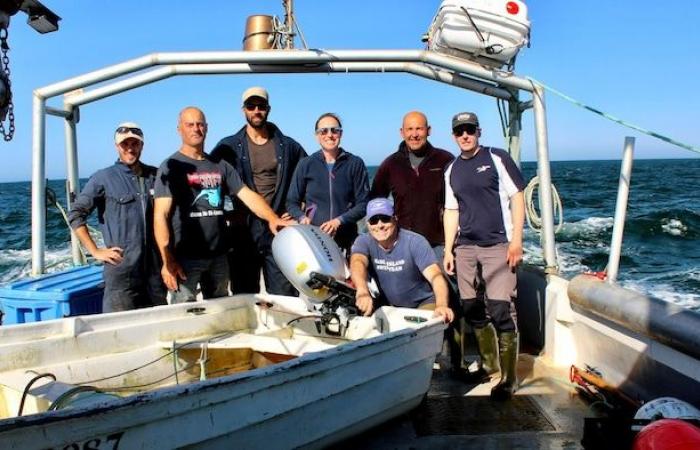 Continuano le ricerche sui grandi squali bianchi nel Golfo – Portail des Îles de la Madeleine