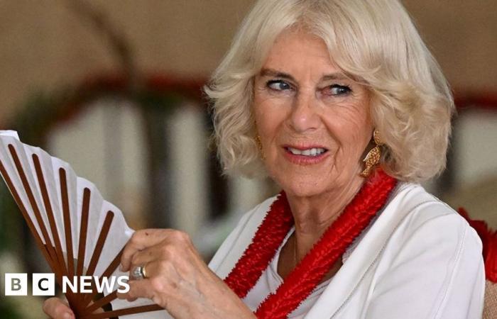 La regina Camilla si ritira dagli impegni a causa di un’infezione al torace