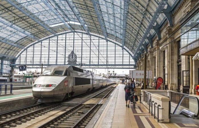 “Come l’apertura alla concorrenza ha accelerato il declino economico del trasporto merci ferroviario”