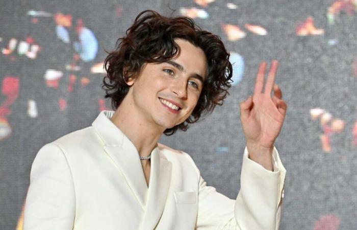 Timothée Chalamet ammette di essere stato vittima di “body shaming” all’inizio della sua carriera