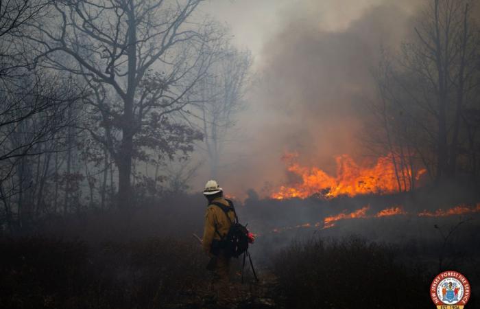 Incendi sulla costa orientale e occidentale: un membro dell’equipaggio diciottenne ucciso mentre i vigili del fuoco combattono pericolosi incendi che divampano su entrambe le coste