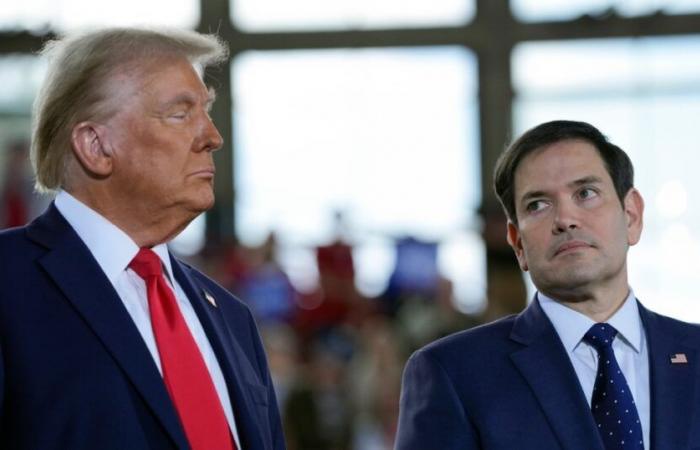 Trump prevedeva di scegliere il senatore della Florida Rubio come massimo diplomatico, dicono i rapporti | Notizie di politica