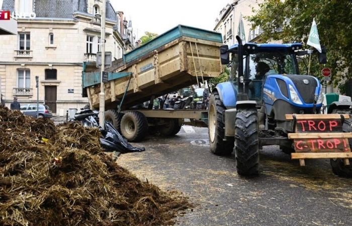 Agricoltori arrabbiati: cosa aspettarsi nei prossimi giorni in Francia?