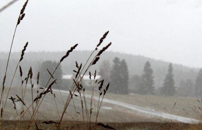 Temperature in calo a Montpellier, temporali al sud, prima neve in montagna… che tempo farà all'inizio della settimana?