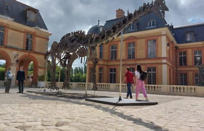 Presto l'ora della verità per Vulcain, il dinosauro gigante venduto all'asta a Dampierre-en-Yvelines