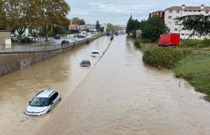 Givors: Léo, questo neonato il cui nome è stato scelto in relazione all'alluvione