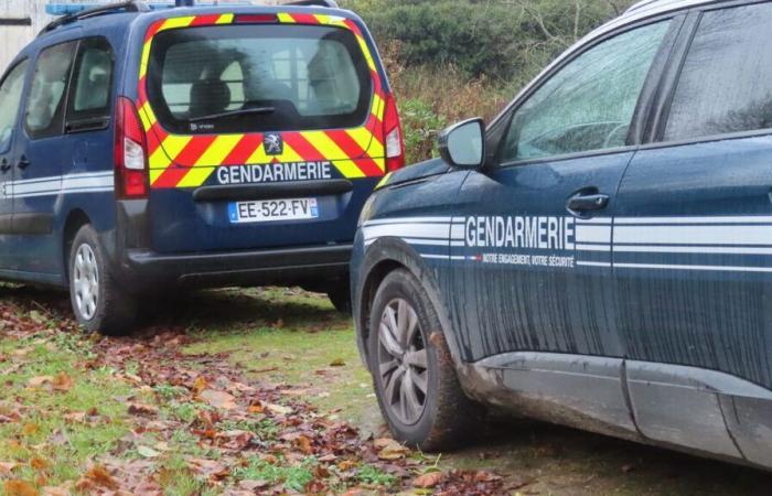 Tre bambini trovati morti in Alta Savoia, voleva la loro madre