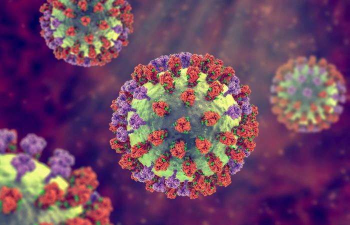 Covid: come la pandemia del coronavirus ha cambiato la situazione influenzale