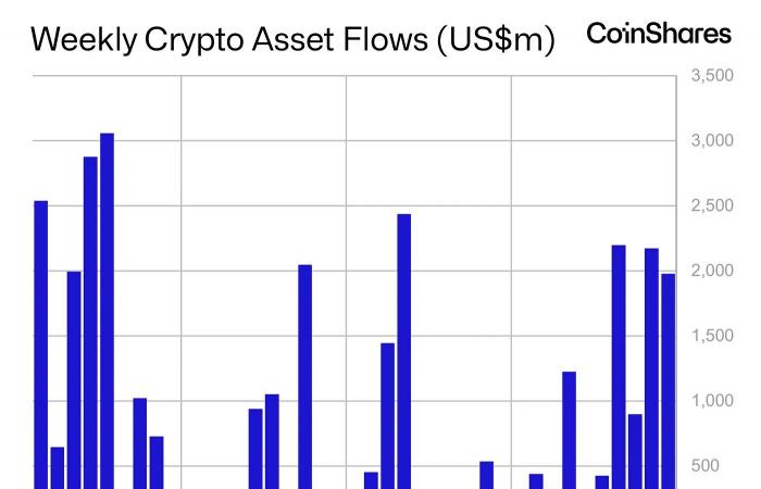 Le migliori criptovalute da acquistare ora l’11 novembre