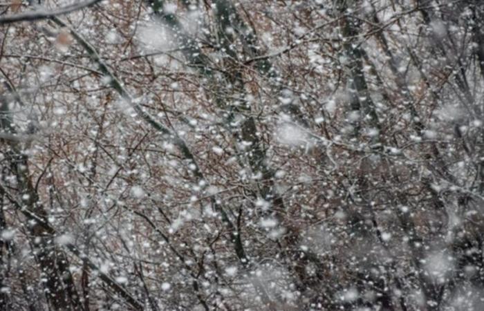 Ritorno della neve in montagna la prossima settimana: cosa aspettarsi?