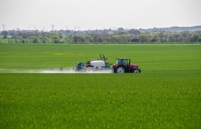 L'acqua potabile francese minacciata di non conformità da un eterno inquinante