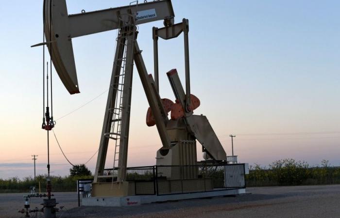 Olio | L’OPEC rivede la crescita della domanda leggermente al ribasso nel 2024 e nel 2025