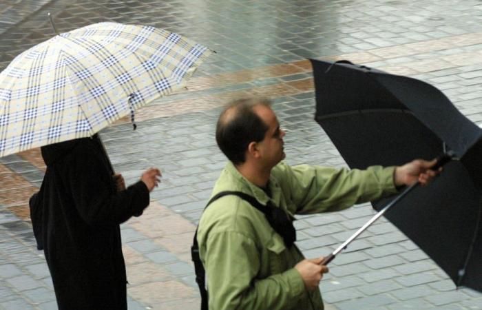 Bollettino meteorologico. Com'è il tempo questo martedì, 12 novembre in Alta Francia?