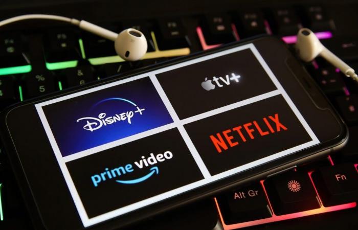 Chi sono i “pauser”, questi utenti che danneggiano Netflix, Disney+ o Prime Video?