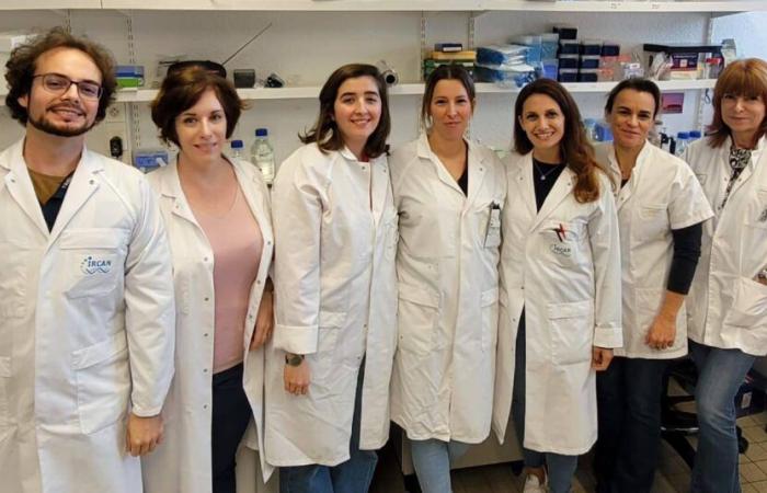 I ricercatori di Nizza fanno un importante passo avanti nella malattia di Charcot