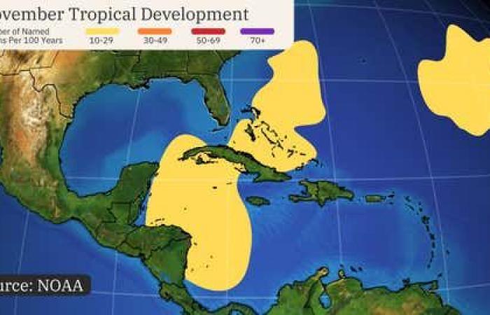 È probabile che la tempesta tropicale Sara si formi nei Caraibi