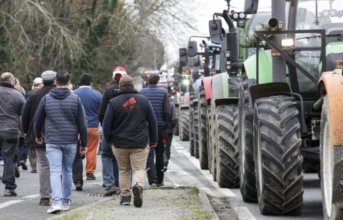 I sindacati agricoli dell'Indre-et-Loire stanno valutando la possibilità di mobilitarsi contro l'accordo UE-Mercosur