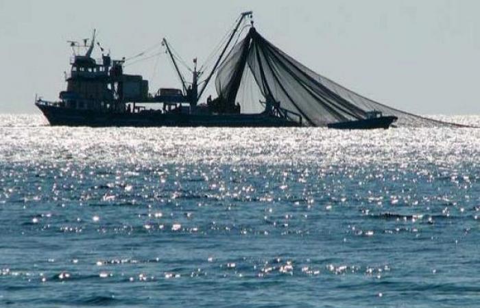 Zakia Driouich incontra i presidenti delle Camere della pesca marittima e i presidenti delle associazioni professionali