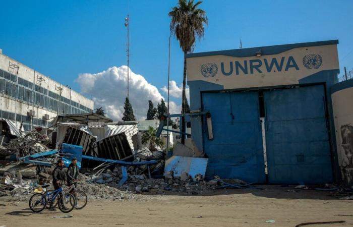 a Gaza, la rabbia e l'indignazione di un funzionario dell'UNRWA