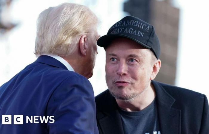 Perché Elon Musk sta diventando il consigliere per l’efficienza di Donald Trump?