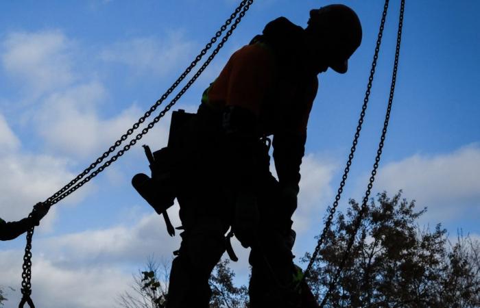 Permessi di costruire a Montreal | Un periodo massimo di 120 giorni a partire da gennaio