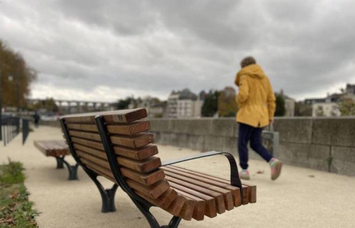 gli abitanti di Laval si consultavano sulle panchine della città