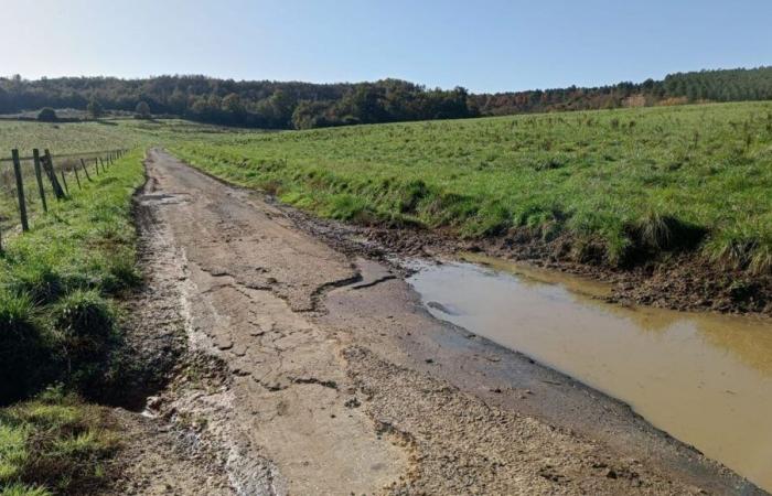 I residenti della Dordogna denunciano lo stato della strada danneggiata dalla consegna di tonnellate di carote