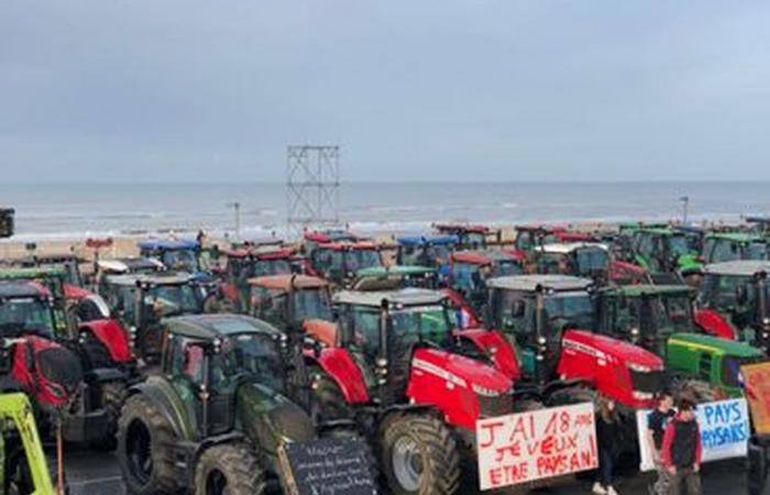 gli agricoltori si preparano a manifestare nuovamente nell'Hauts-de-France