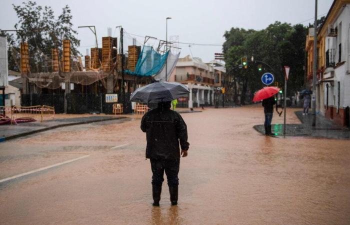 Malaga, Tarragona e Valencia sono in allerta rossa per nuove piogge torrenziali, due settimane dopo le inondazioni mortali