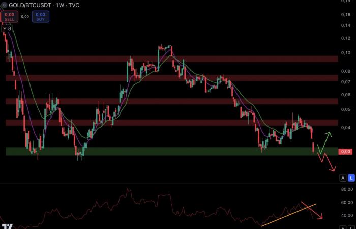 Bitcoin, oro, S&P 500 e NASDAQ sono ai massimi livelli – Le Point Macro