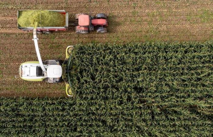 Furti GPS agricoli nel Maine-et-Loire: il suo telefono era limitato alle fattorie prese di mira