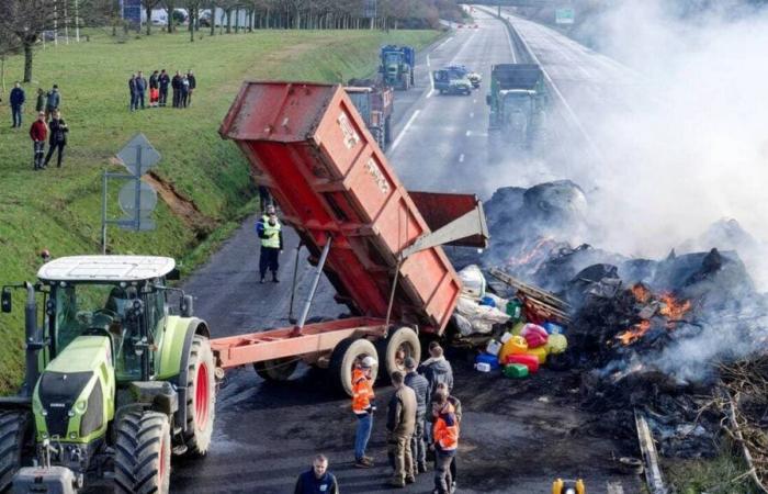 Agricoltori pronti a mobilitarsi nel Morbihan