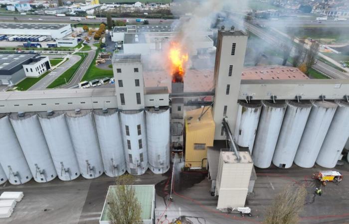 Incendio in un essiccatoio per cereali a Beaune: mobilitati una quarantina di vigili del fuoco