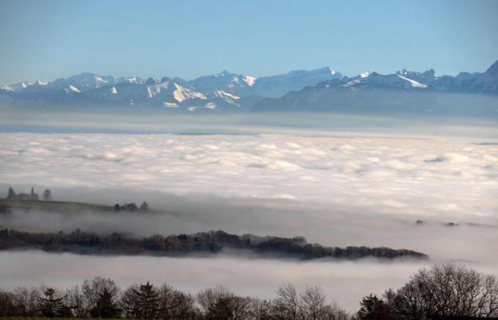 Meteo: onnipresente, la nebbia ha preso il sopravvento