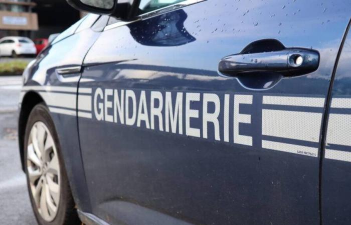 Due persone arrestate in Côtes-d'Armor dopo la morte di un uomo di 70 anni