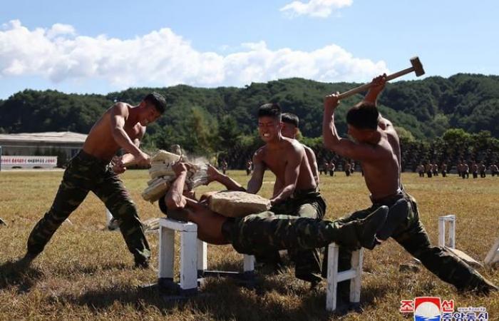 Sul fronte russo-ucraino la prova del fuoco dell’esercito nordcoreano