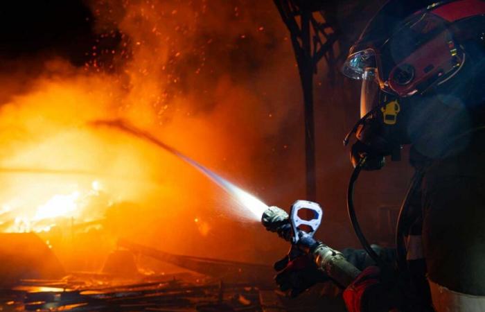 i vigili del fuoco salvano gli animali dall'edificio in fiamme